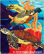 Hawksbill Turtlesby Roger Bacharach