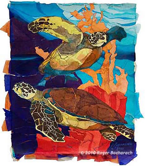 Hawksbill Turtles by Roger Bacharach c 2010. Prints Available.