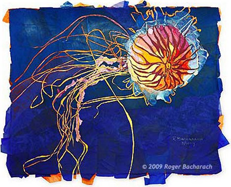 Japanese Sea Nettle by Roger Bacharach c 2009. Prints Available.